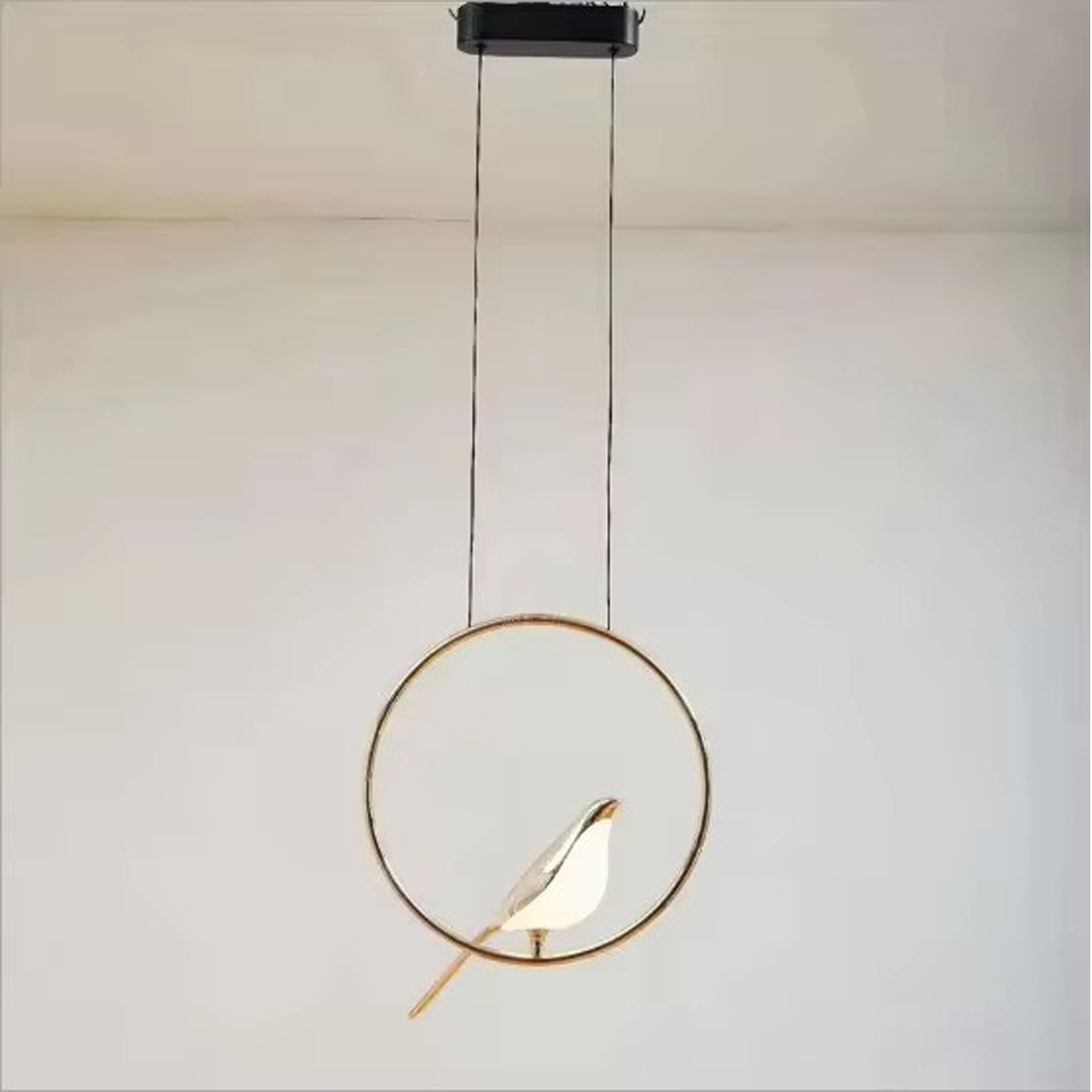 โคมไฟแขวนเพดาน Pendant Lamp Metal + Acrylic LED 1W *10 IP20