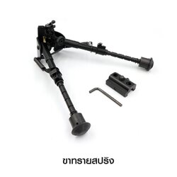 ขาทรายสปริง