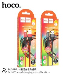 HOCO DU36 Micro 1M