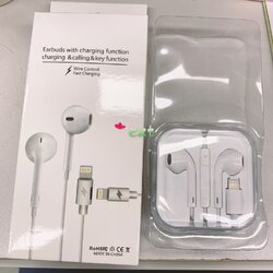 Earbuds+Charging JH-013