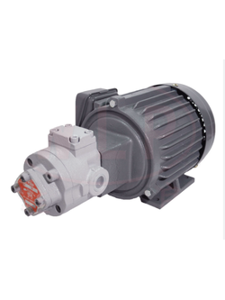มอเตอร์ ปั๊ม WLP Motor Pump