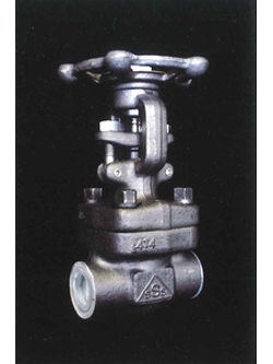 SHORITSU Valve