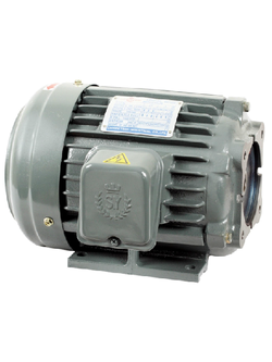 SY Motor / Chyun Tseh Motor