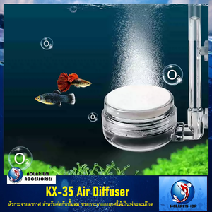 KX-35 Air Diffuser(หัวกระจายอากาศแบบถ้วย สำหรับต่อกับปั๊มลม ช่วยกระจายอากาศให้เป็นฟองละเอียด)