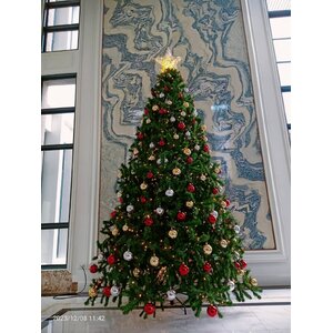 แบบต้นคริสต์มาสให้เช่า"รวมสายพันธุ์ต้นคริสต์มาสปลอม"