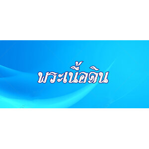 9.1 พระเนื้อดิน
