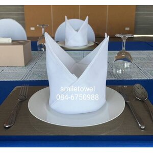 ผ้าNapkin