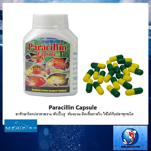 Paracillin (ยารักษาโรคปลาสวยงาม หัวเป็นรู ท้องบวม ติดเชื้อภายใน)