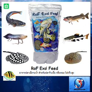 RoF Exo' Feed Sinking Fish Food 1300 g.(อาหารปลาเม็ดจมน้ำ สำหรับปลากินเนื้อ กลิ่นหอม โปรตีนสูง)