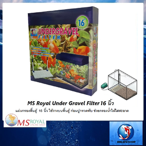 MS Royal Under Gravel Filter แผ่นกรองพื้นตู้ 16 นิ้ว(ใช้วางบนพื้นตู้ ก่อนปูกรวดทับ ช่วยกรองน้ำให้ใสสะอาด)