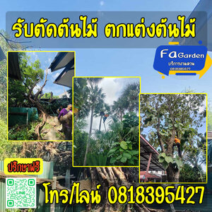 รับตัดต้นไม้
