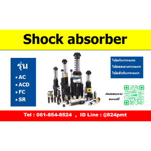 Shock Absorbers