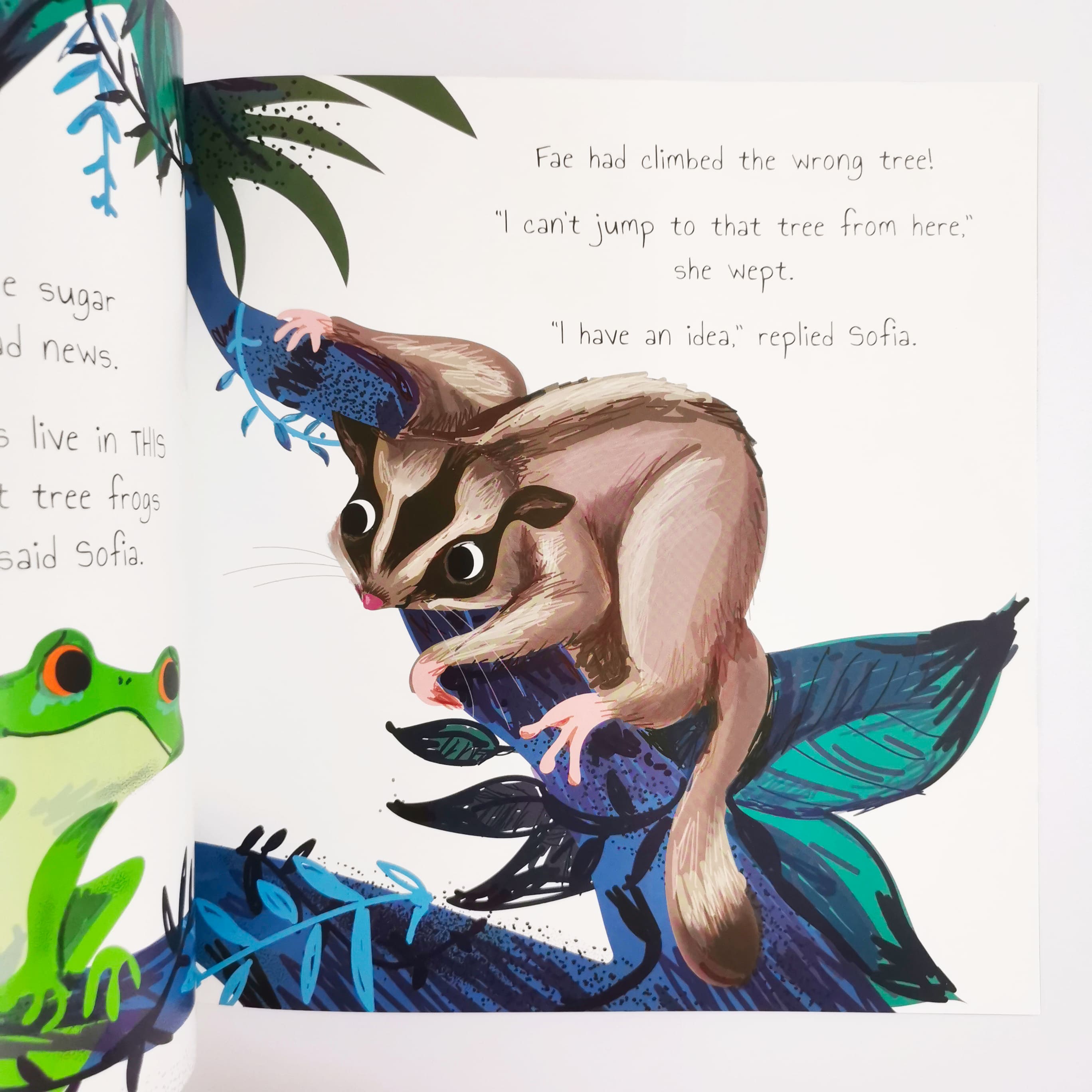 The Timid Frog (Rainforest Tales)