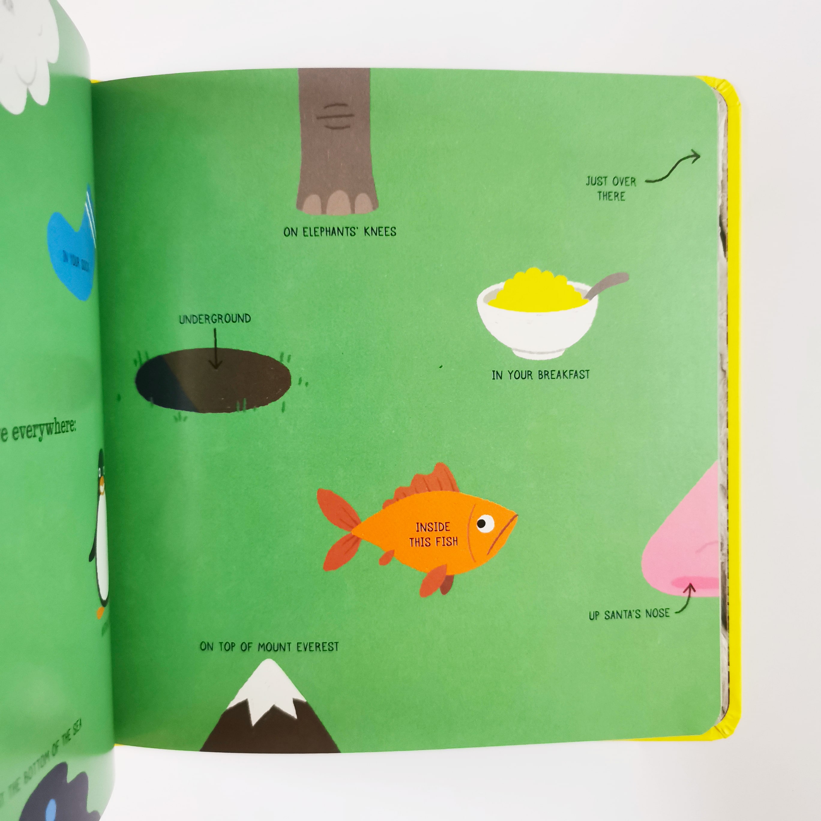 Do Not Lick This Book