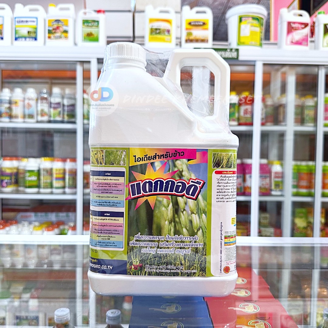 ไอเดียสำหรับข้าวแตกกอดี ขนาด5 ลิตร เพิ่มการแตกราก ป้องกันข้างราดำ เพิ่มการแตกกอ กอใหญ่ แตกดี สมบูรณ์