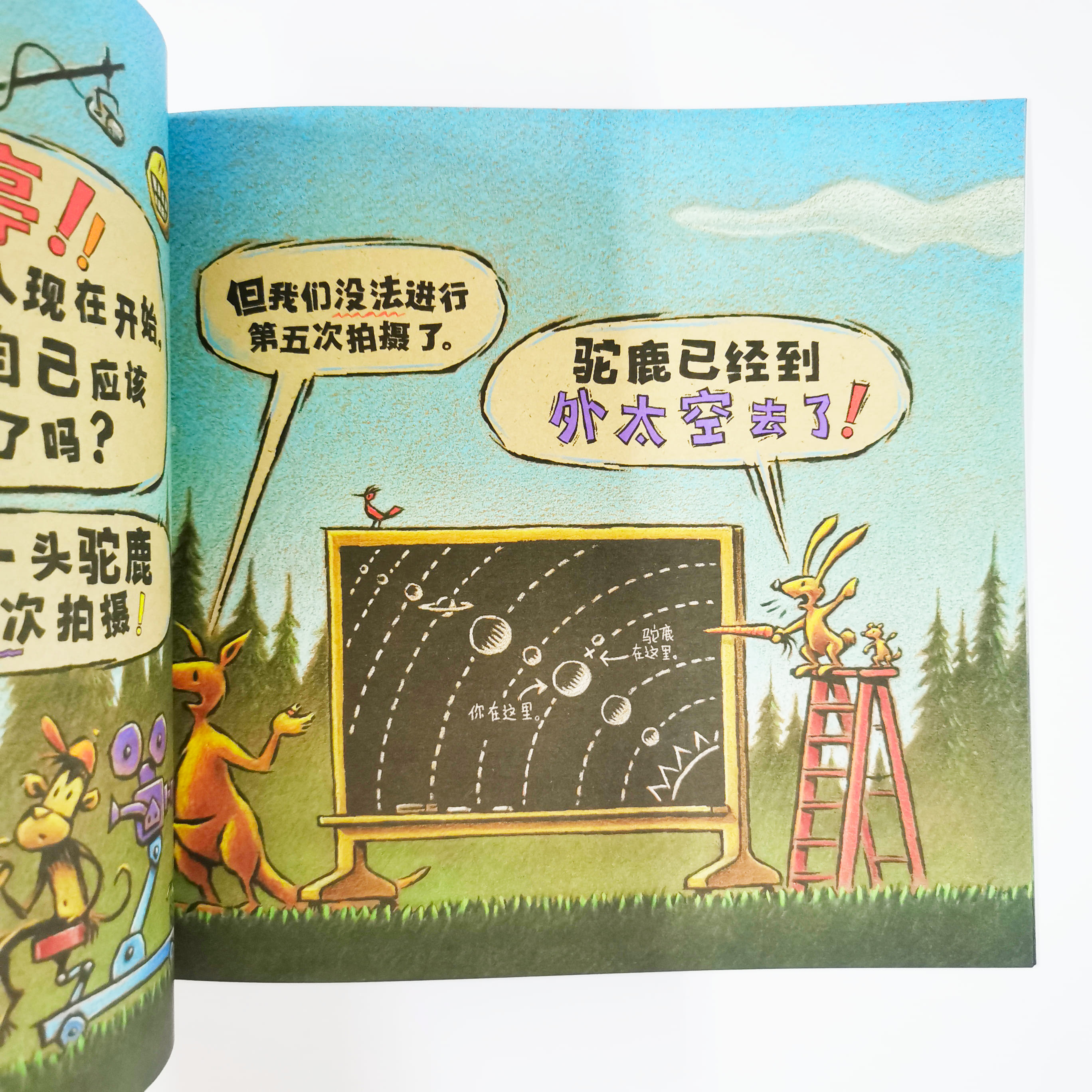 这是一头驼鹿 This is a Moose