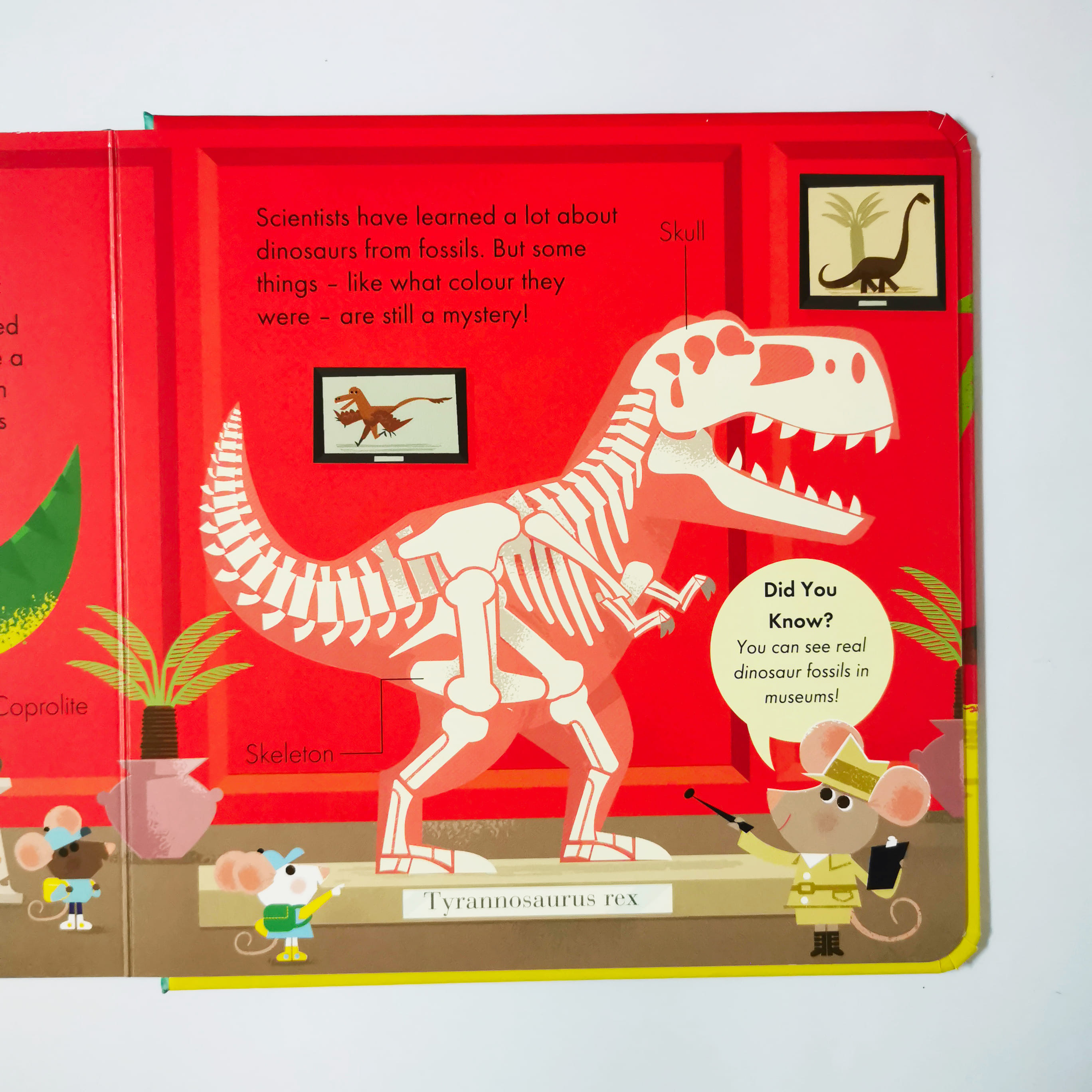 How It Works : Dinosaur