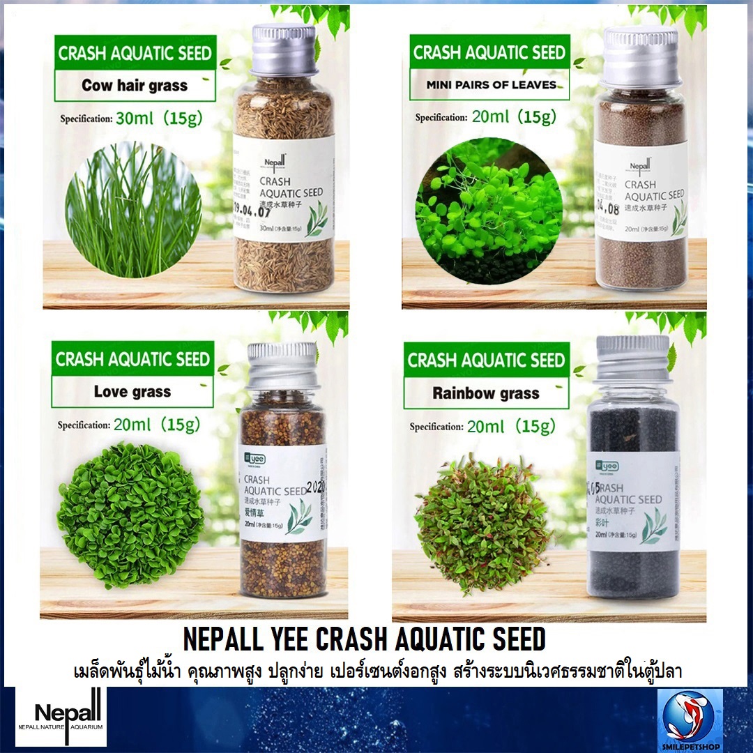 NEPALL,YEE CRASH AQUATIC SEED(เมล็ดพันธุ์ไม้น้ำ คุณภาพสูง ปลูกง่าย เปอร์เซนต์งอกสูง สร้างระบบนิเวศธรรมชาติในตู้ปลา)