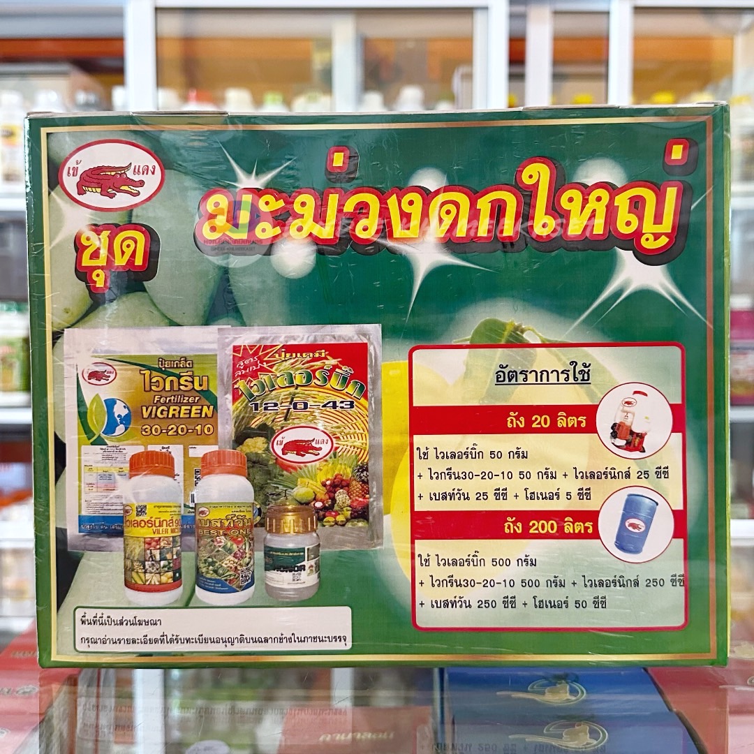 ชุดมะม่วงดกใหญ่ บำรุงช่อ ลดการหลุดร่วง ป้องกันผลแตก ขยายผล เพิ่มน้ำหนัก