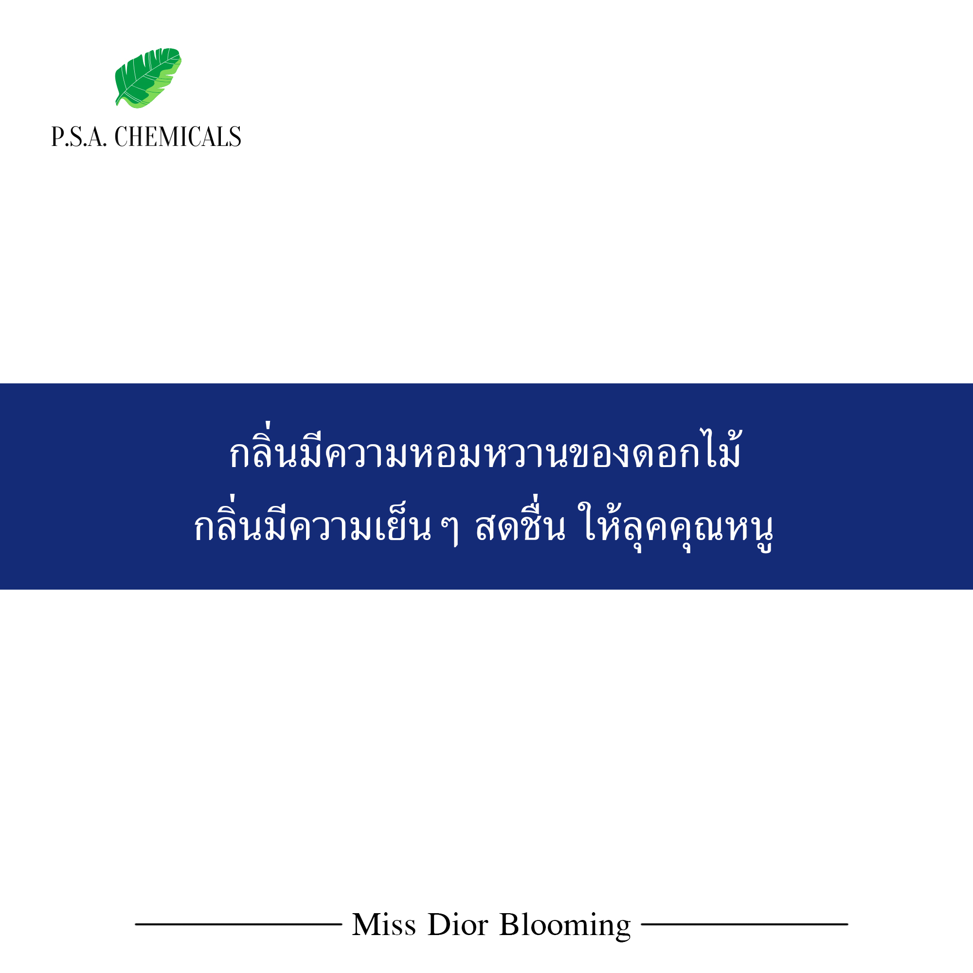 หัวน้ำหอมเคาน์เตอร์แบรนด์ กลิ่น Miss Dior Blooming ขนาด 35 / 50 / 100 g ไม่ผสมแอลกอฮอล์ หัวเชื้อน้ำหอมเข้มข้น กลิ่นติดทนนาน