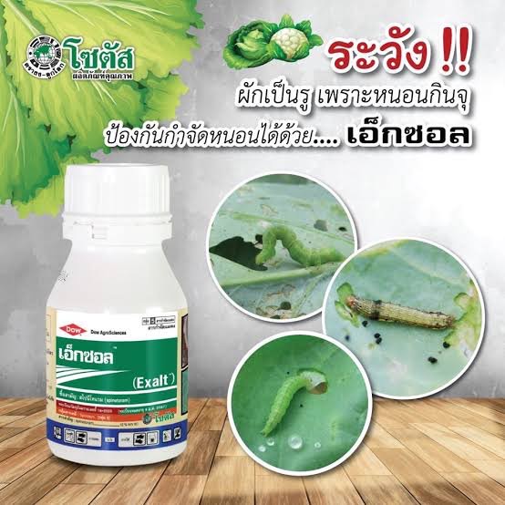 เอ็กซอล 250 ซีซี สาร สไปนีโทแรม (spinetoram) 12% W/V SC จุดจบของหนอนร้าย และเพลี้ยไฟดื้อยา