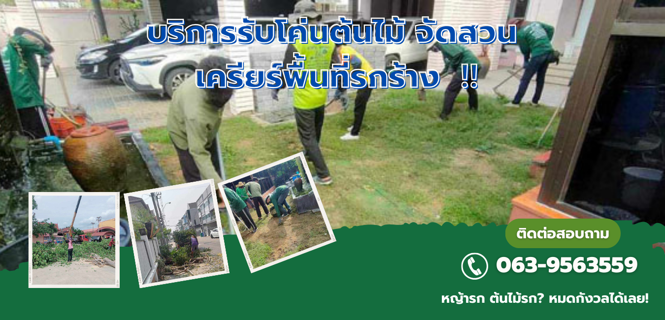 รับตัดต้นไม้ตัดหญ้าใกล้ฉัน