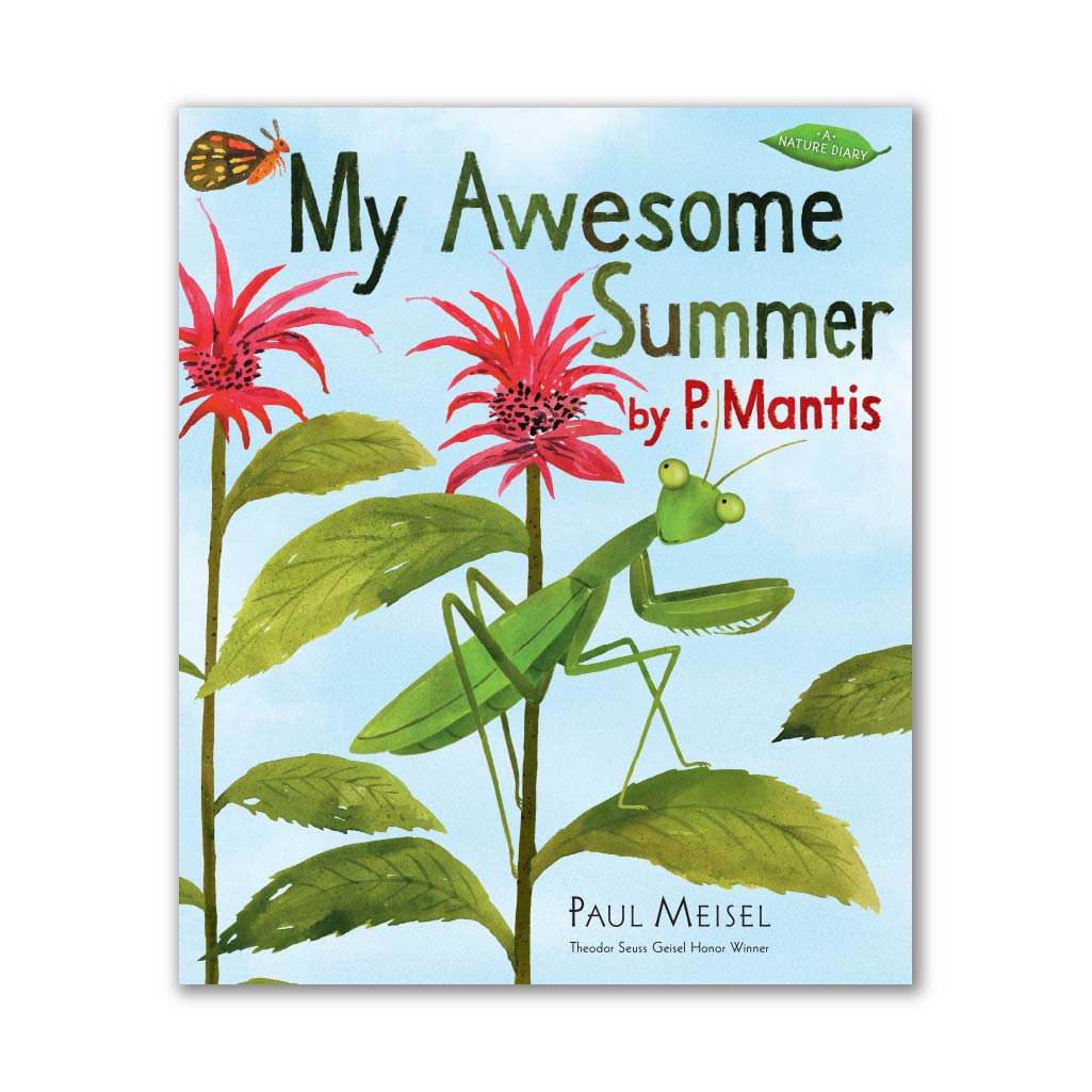 My Awesome Summer