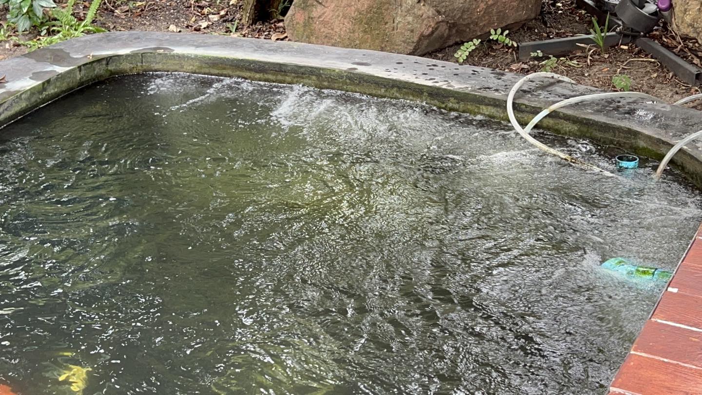 OXYGEN BAR 50cm,80cm,110cm,150cm,190cm(ท่อยางกระจายอากาศ คุณภาพดี ทนทาน ช่วยกระจายอากาศ เพิ่มออกซิเจนในน้ำ)