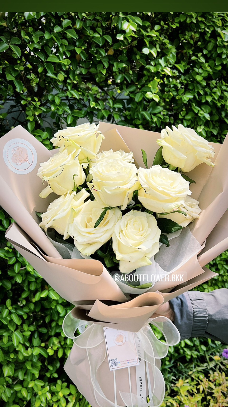 Ecuador Stylish Black Edge Bouquet ช่อดอกกุหลาบเอกวาดอร์ สีขาว จำนวน 10 ดอก พร้อมตกแต่ง สามารถเปลี่ยนสีได้