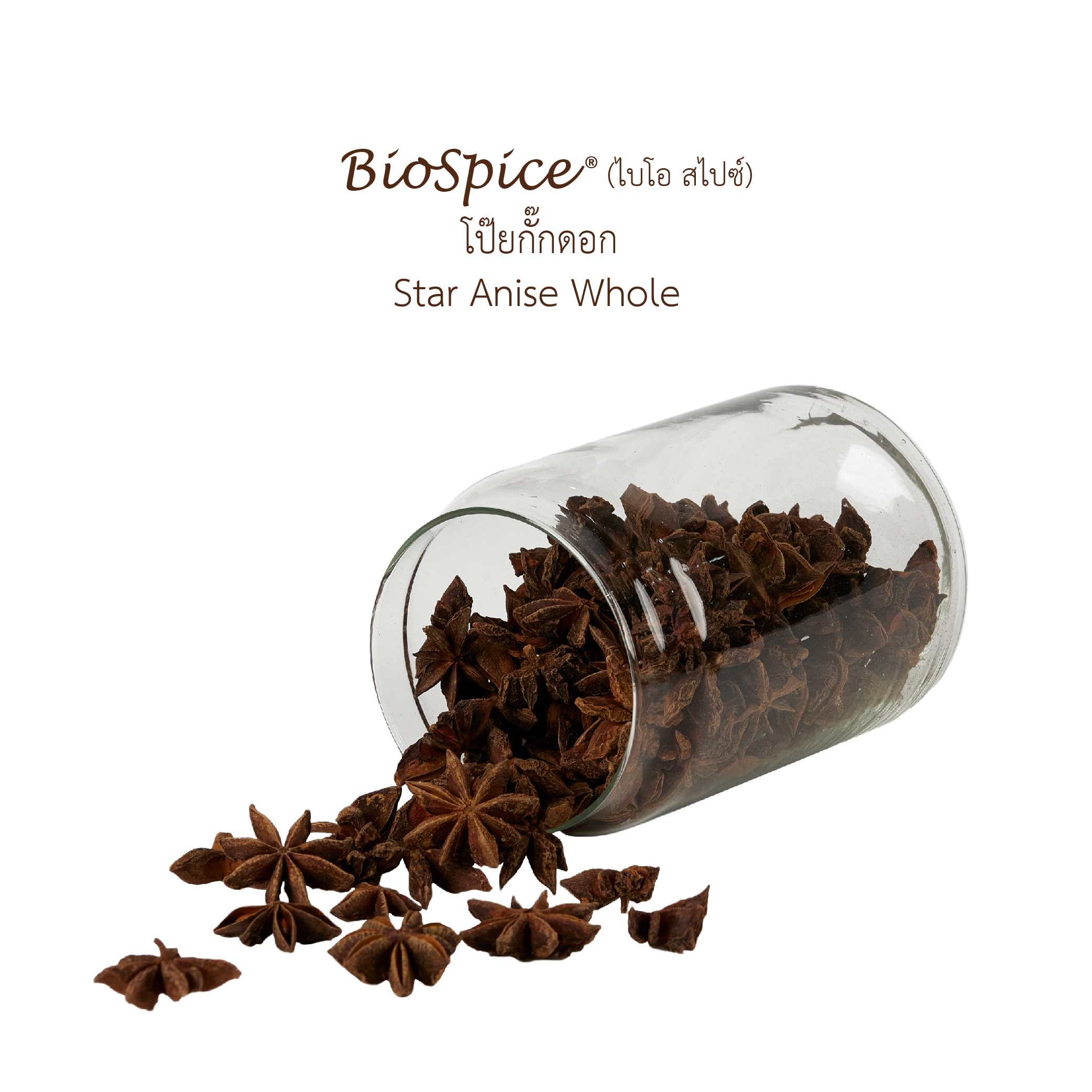 โป๊ยกั๊กดอก (เครื่องหมายการค้า ไบโอ สไปซ์) 100 กรัม / Star Anise Whole (BioSpice®) 100 gram.