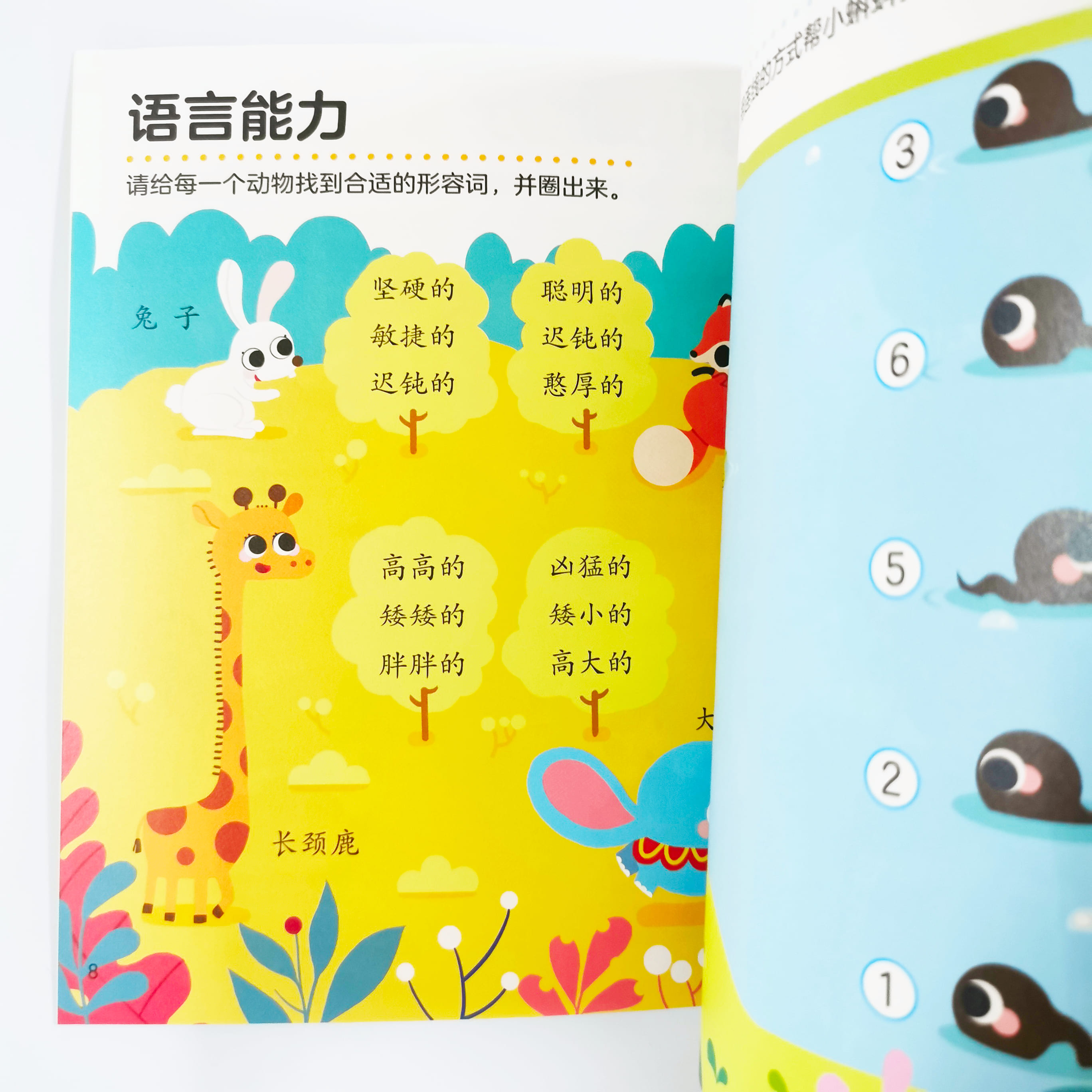 思维训练 Cognitive Training