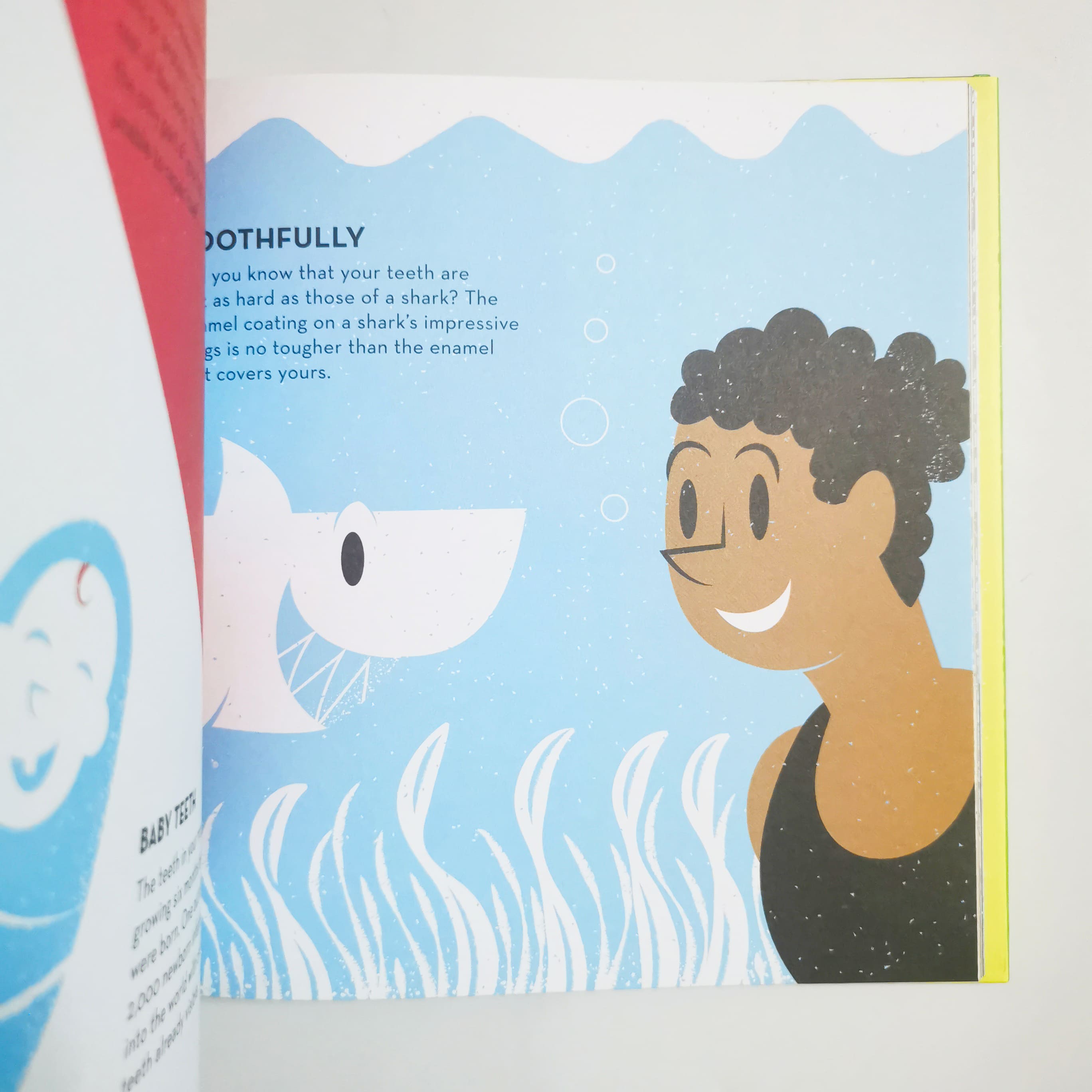 Human Body (Volume 2) (Odd Science)