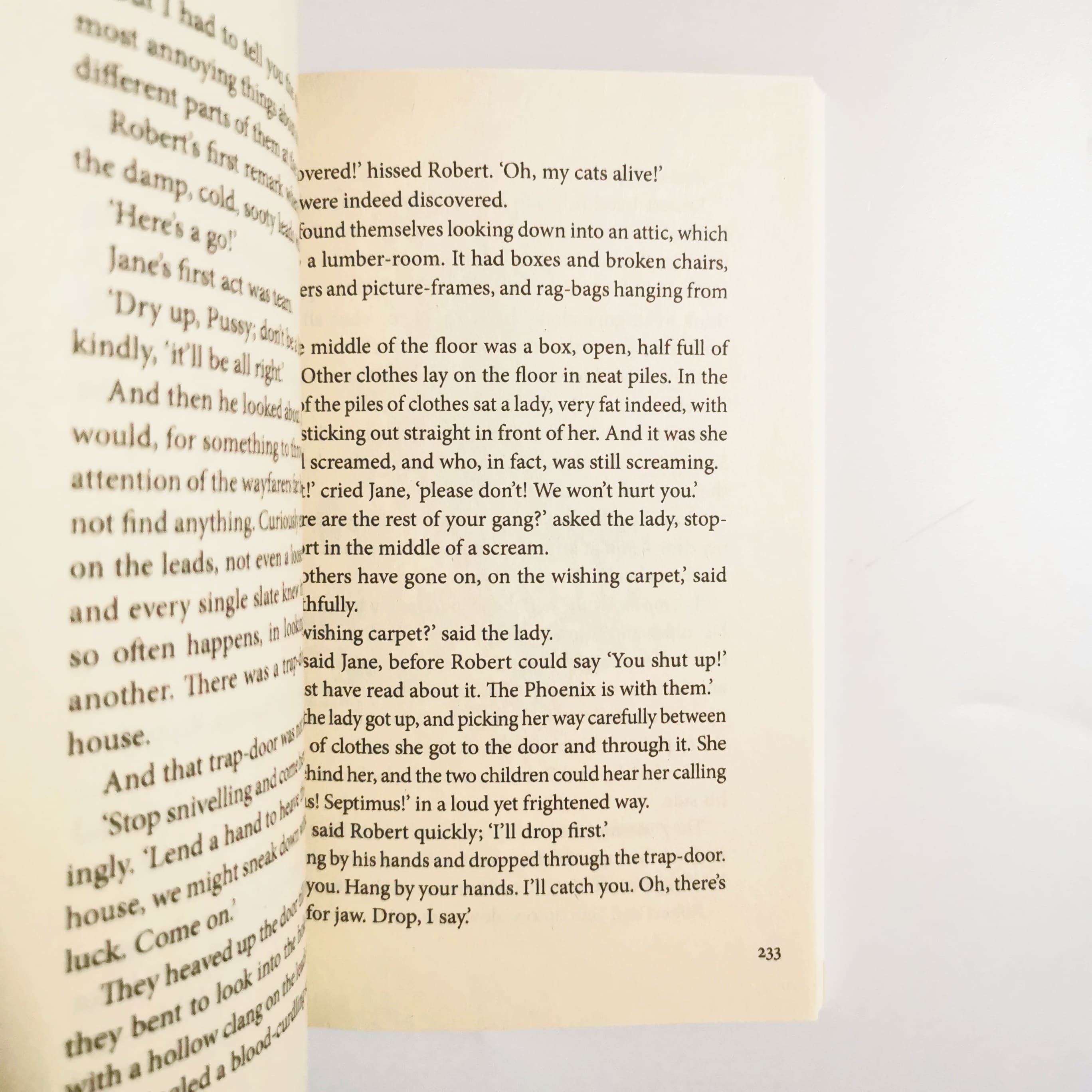 The Phoenix and the Carpet