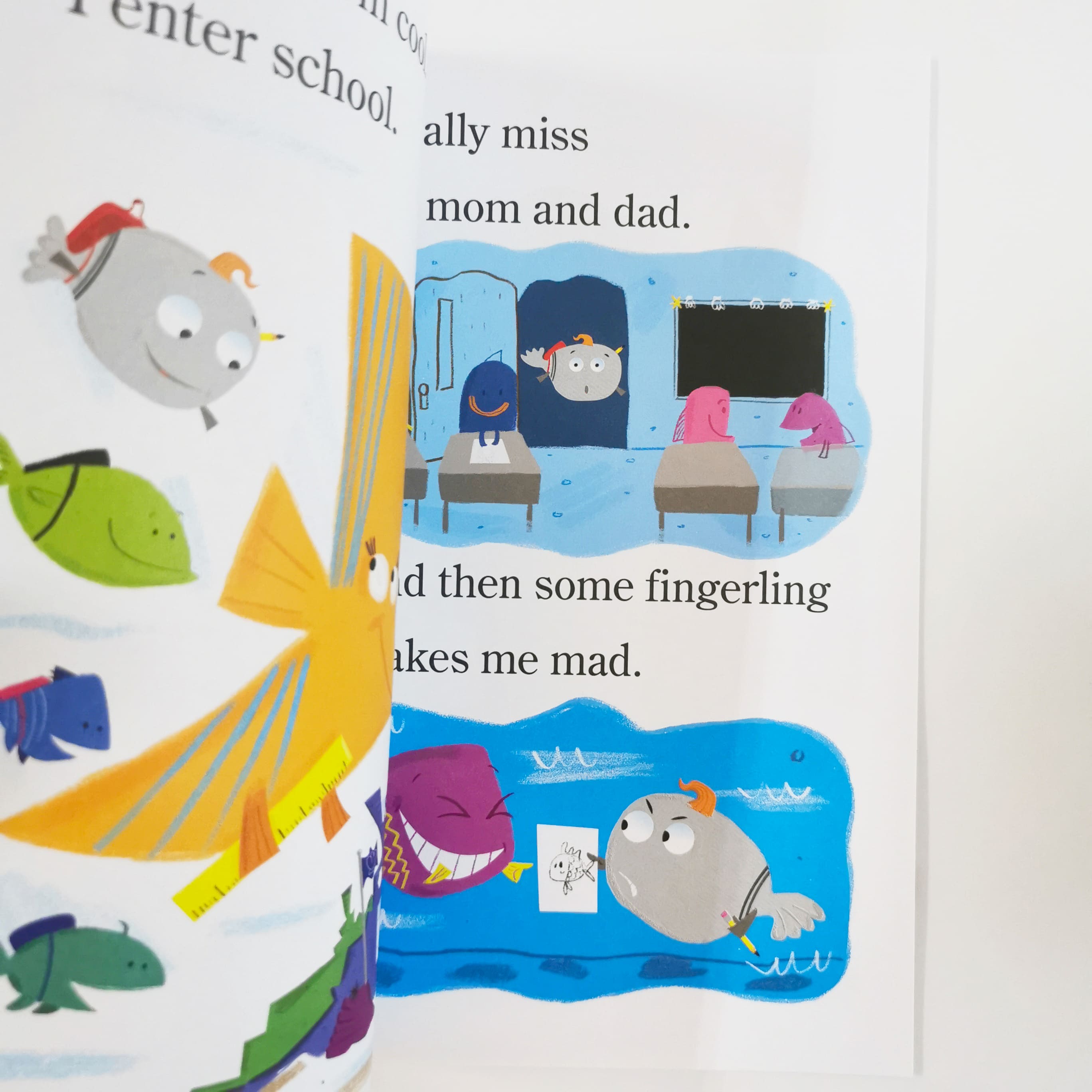 School of Fish (School of Fish)