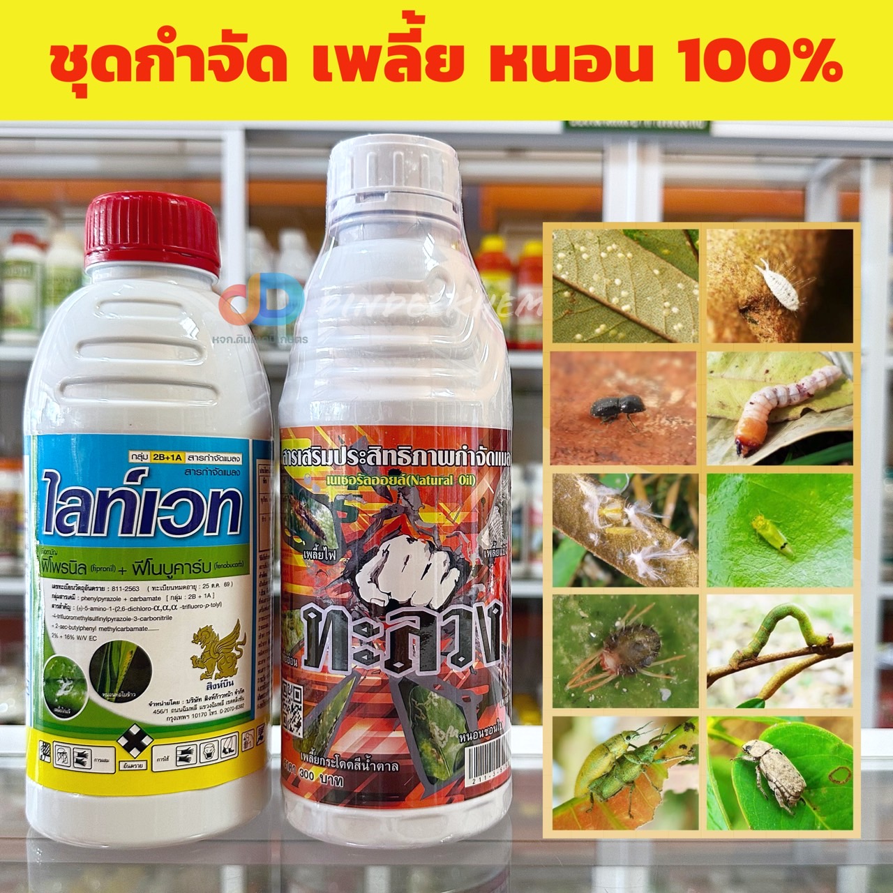 ชุด กำจัด เพลี้ยหนอน ไลท์เวท ขนาด 1 ลิตร+ ทะลวง ไวท์ออย ขนาด 1 ลิตร จำกัดแมลง คุมไข่ เพลี้ย หนอน อย่างมีคุณภาพ