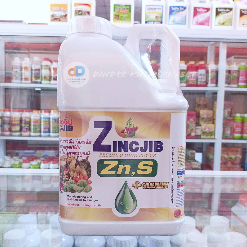ซิ้งจิ๊ป (Zin JIB) ขนาด 5 ลิตร#ต้านทาวหนาวจัด ร้อนจัด ออกดอก ใบ ลูกสมบูรณ์