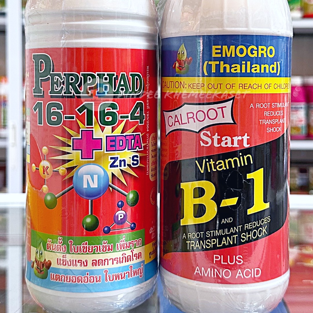 (ชุด2ขวด)ปุ๋ยน้ำ 16-16-4 +EDTA ขนาด 1 ลิตร สูตรต้นตั้ง เพิ่มราก แตกยอดอ่อน ใบหนาใหญ่+VitaminB-1#สารกระตุ้นรากพืช