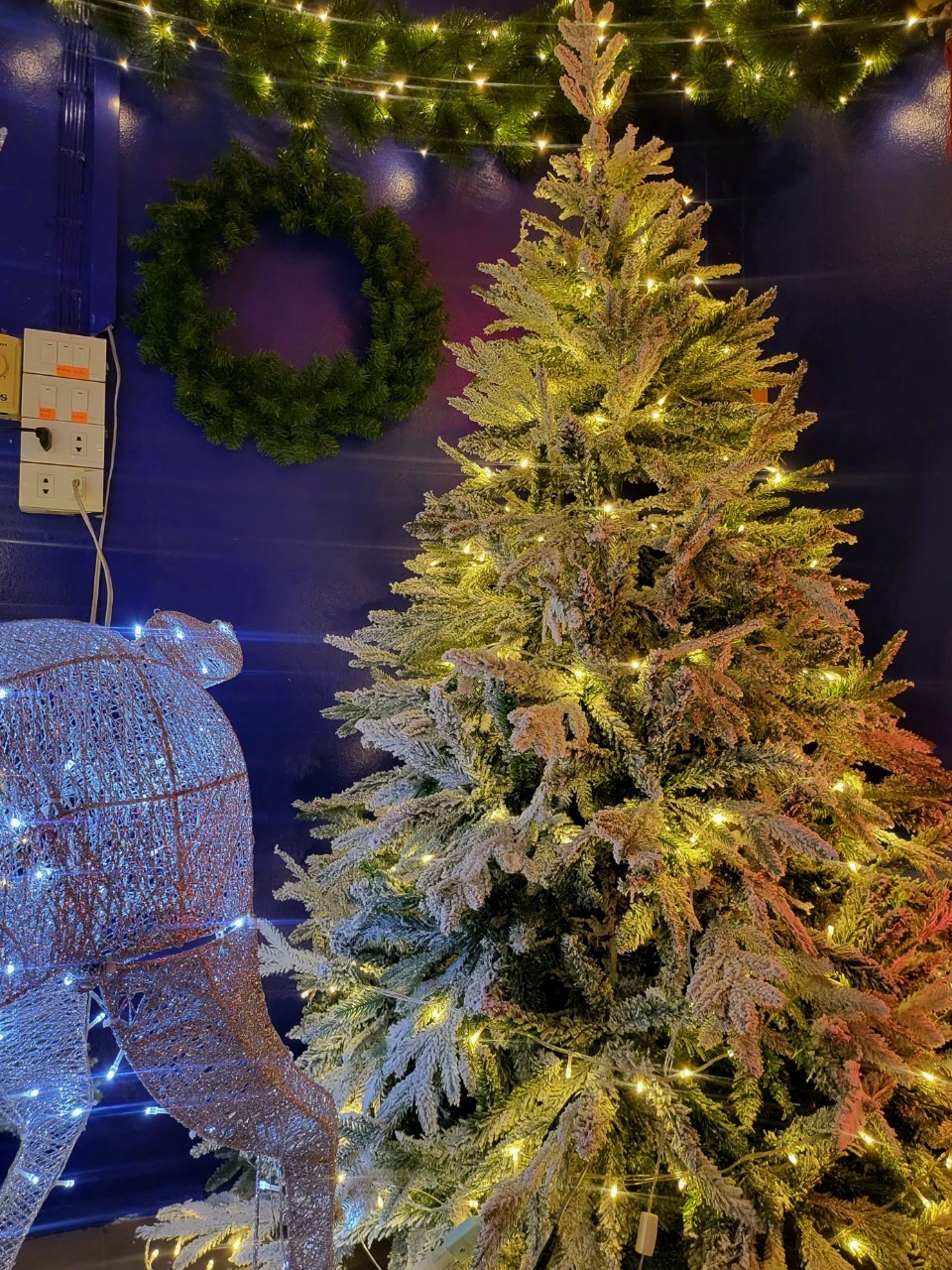ep 011แบบต้นคริสต์มาสปลอม english christmastree สวยงาม ราคาสวยๆ กับ ขนาด 8ฟุต