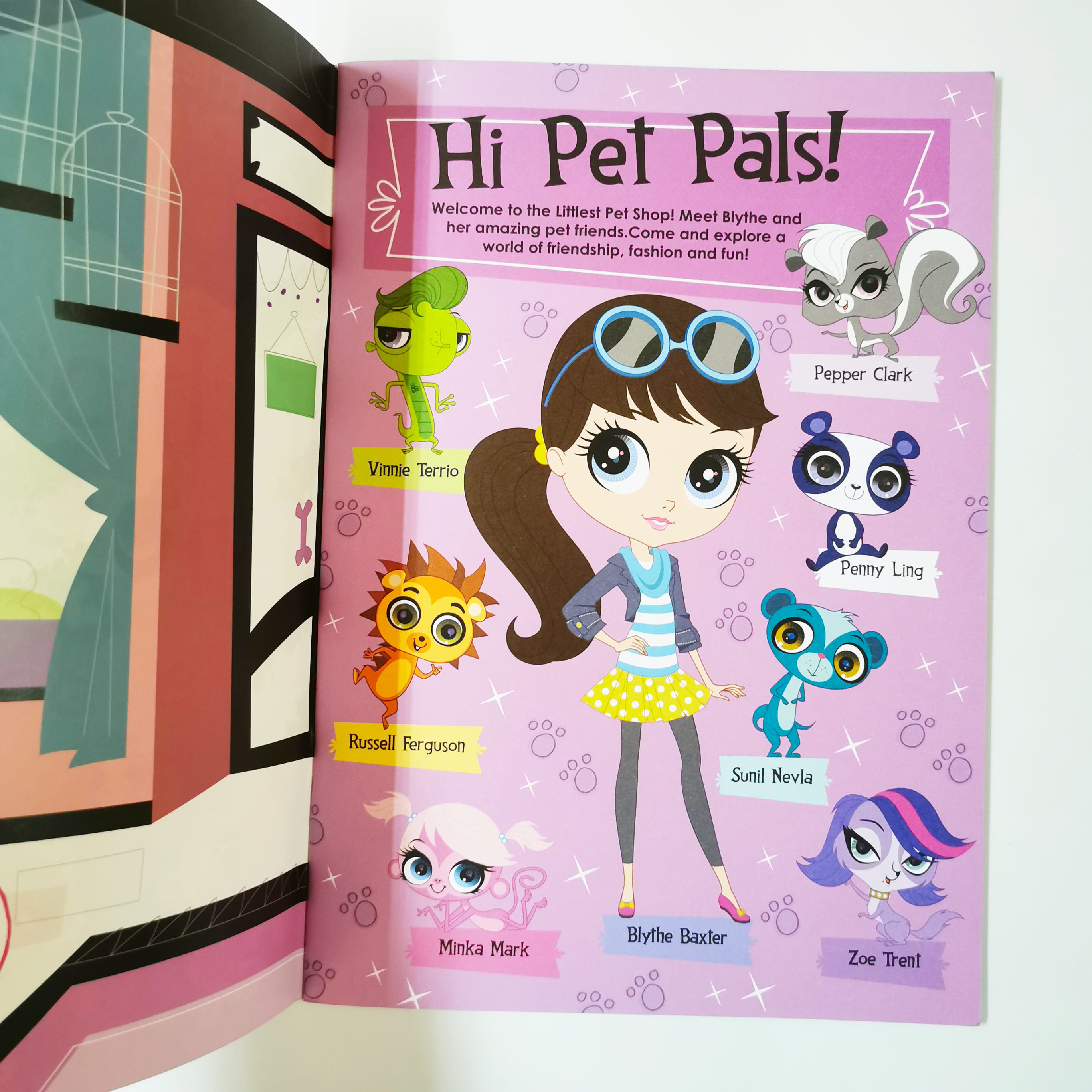 Little Pet Shop : Fashion Fun Sticker Book
