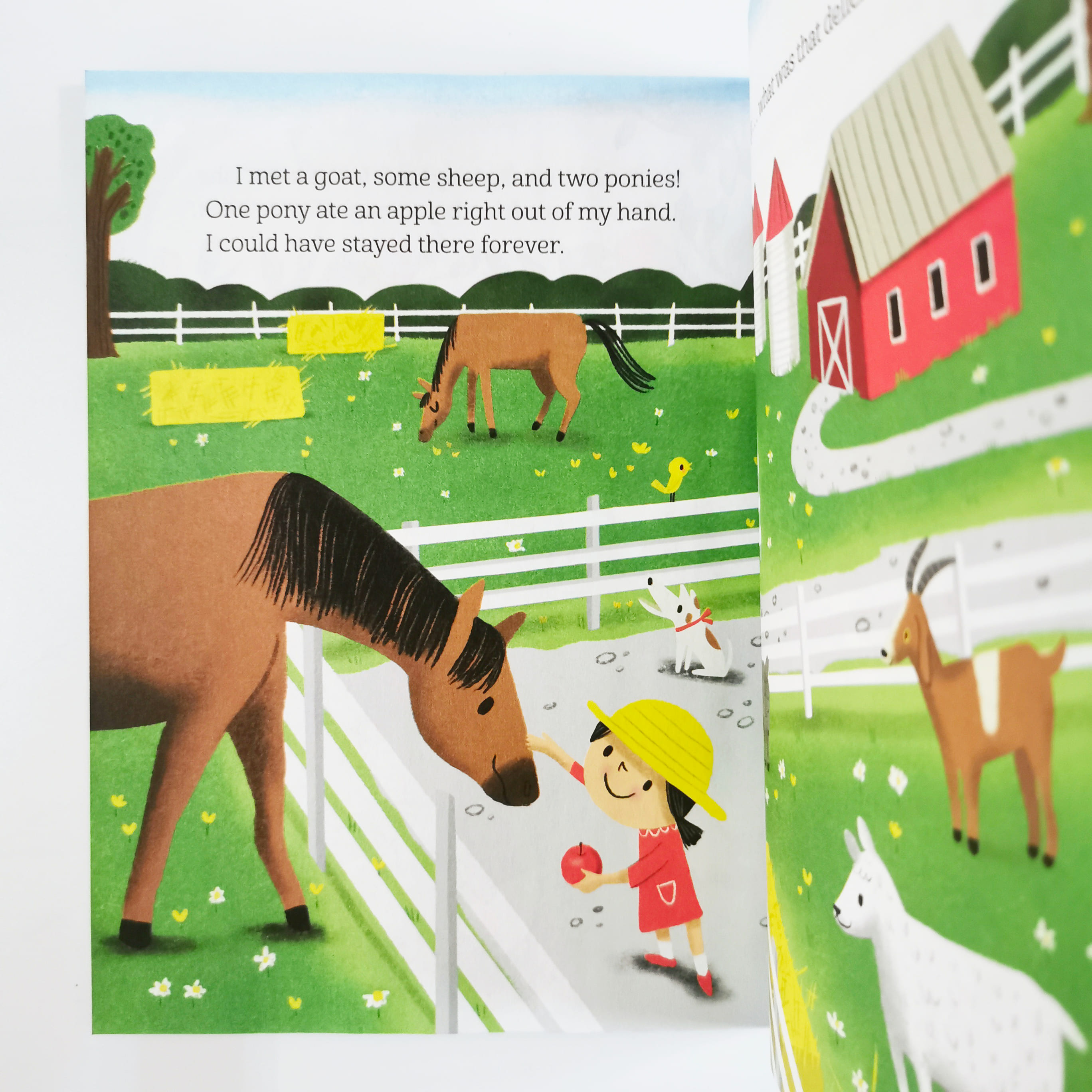 Let's Go Apple Picking! (LGB)