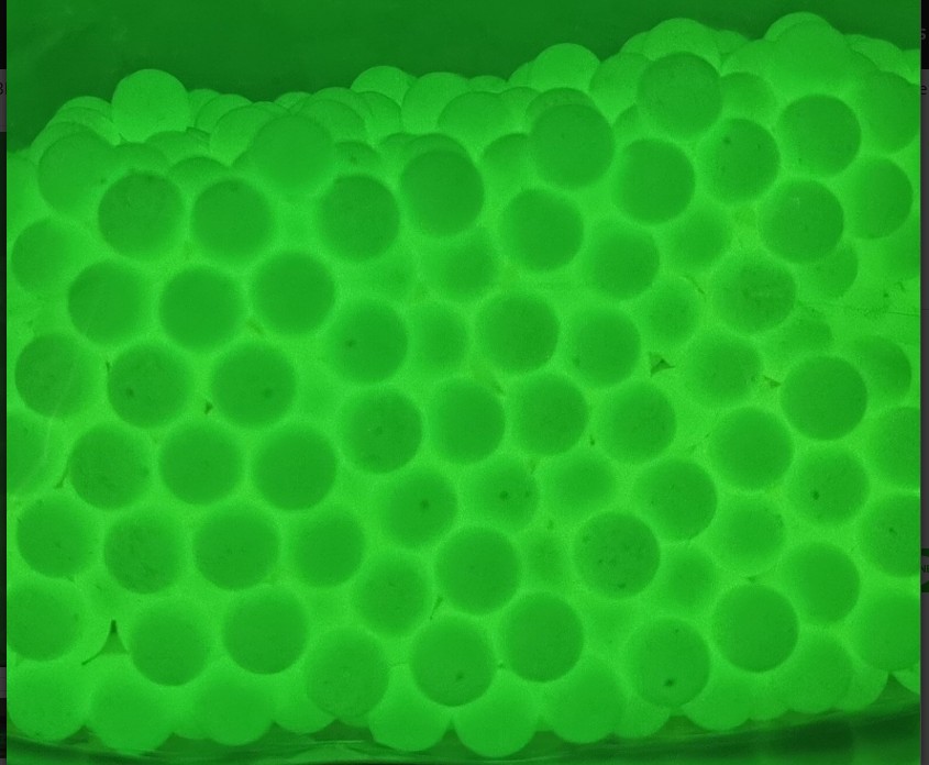 ลูกกระสุน RAMPAGE Tracer กระสุนเรืองแสง 0.25g 3000 นัด made im taiwan