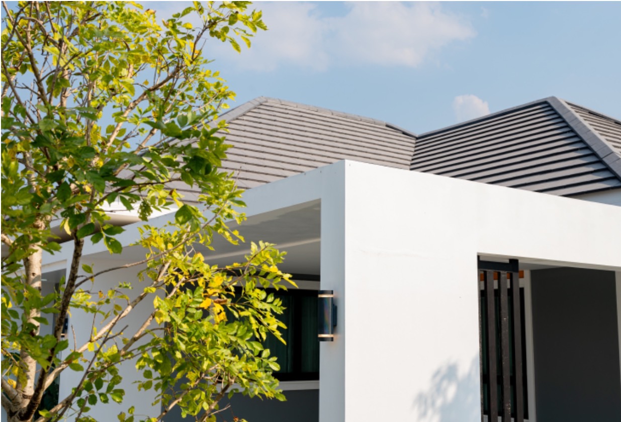 บ้านพาสุข ไซต์ L (ขนาดใหญ่)