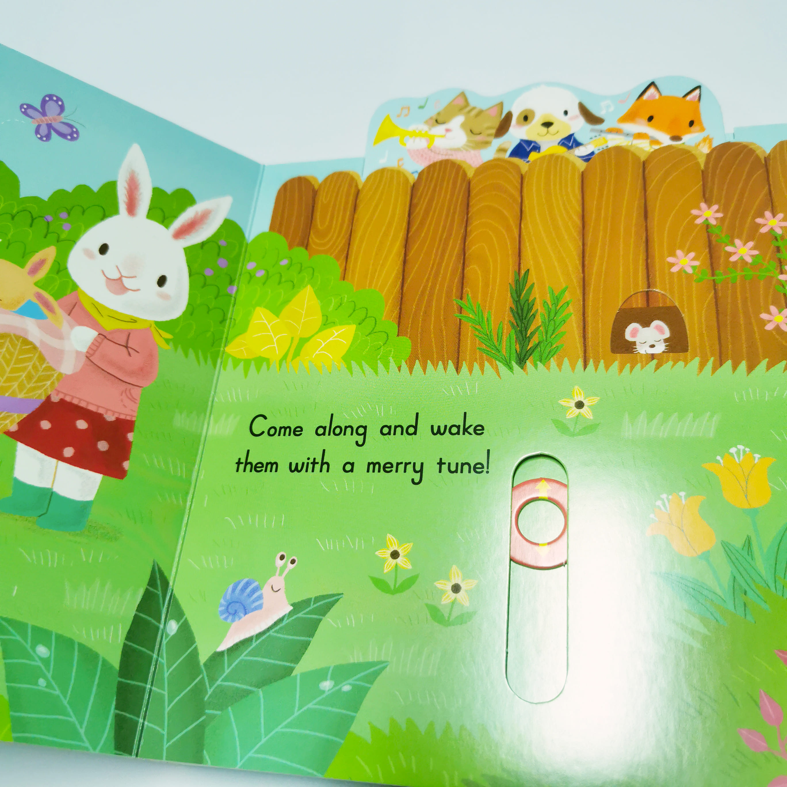 Sleeping Bunnies (Sing Along With Me!)