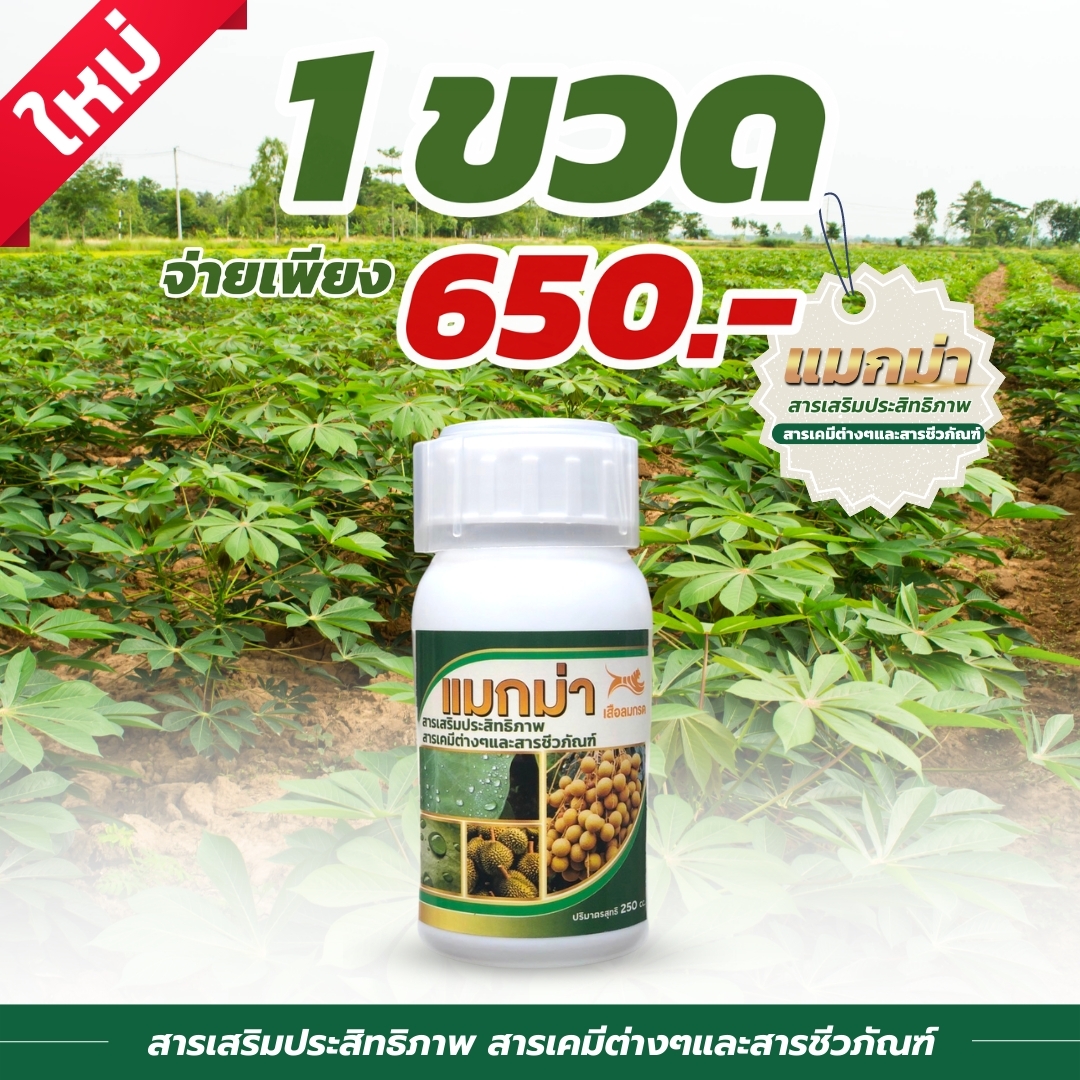 แมกม่า ขนาด250ซีซี 1ขวด