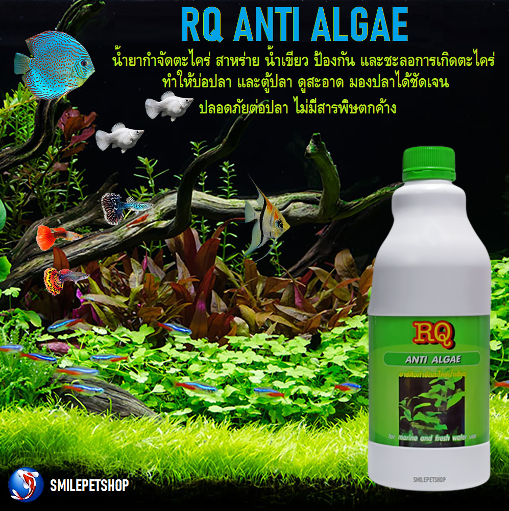 RQ ANTI ALGAE 1000 ml (น้ำยากำจัดตะไคร่ น้ำขียว สาหร่าย ตะไคร่ ในบ่อปลา และตู้ปลา)