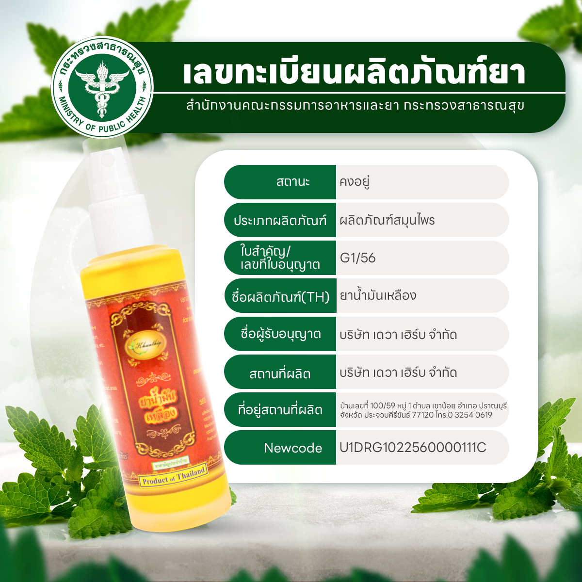 ยาน้ำมันเหลือง เบอร์ 8 ยาน้ำมันนวดสีเหลือง ตราคุณทิพย์ ขนาด 50 มล. (Khunthip Ya Yellow Herbal Plai Oil No.8 50ml)