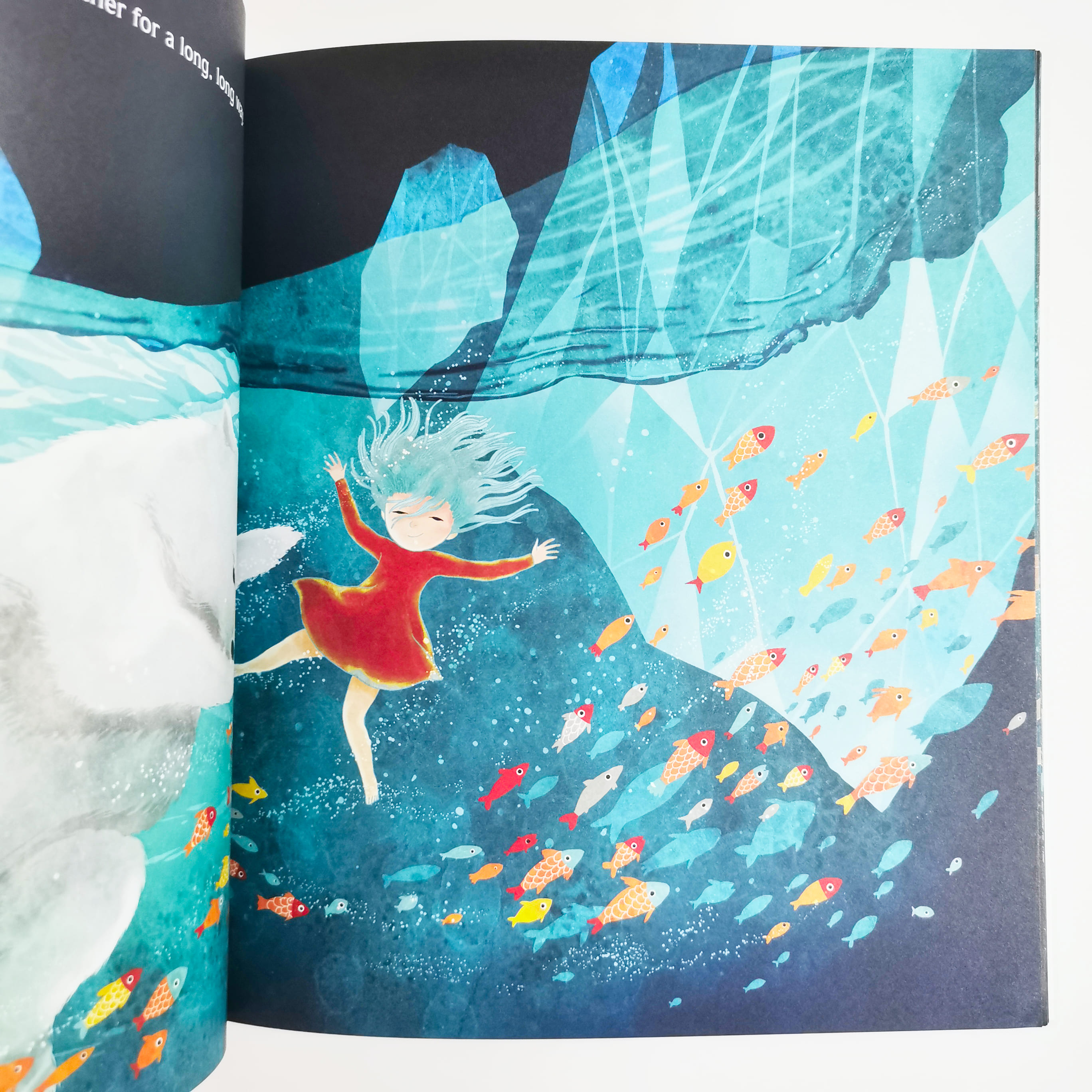 The Lonely Polar Bear