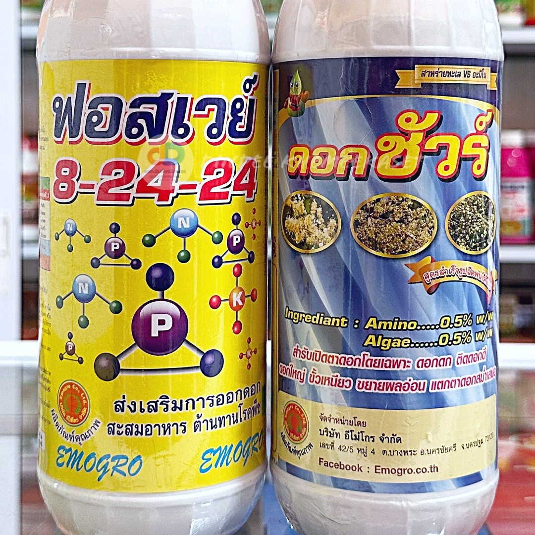 (ชุด 2 ขวด ) ปุ๋ยน้ำ 8-24-24 ขนาด 1 ลิตร ส่งเสริมการออกดอก+ดอกชัวร์ เบสฟอร์+ดอกชัวร์ ขนาด 1 ลิตร