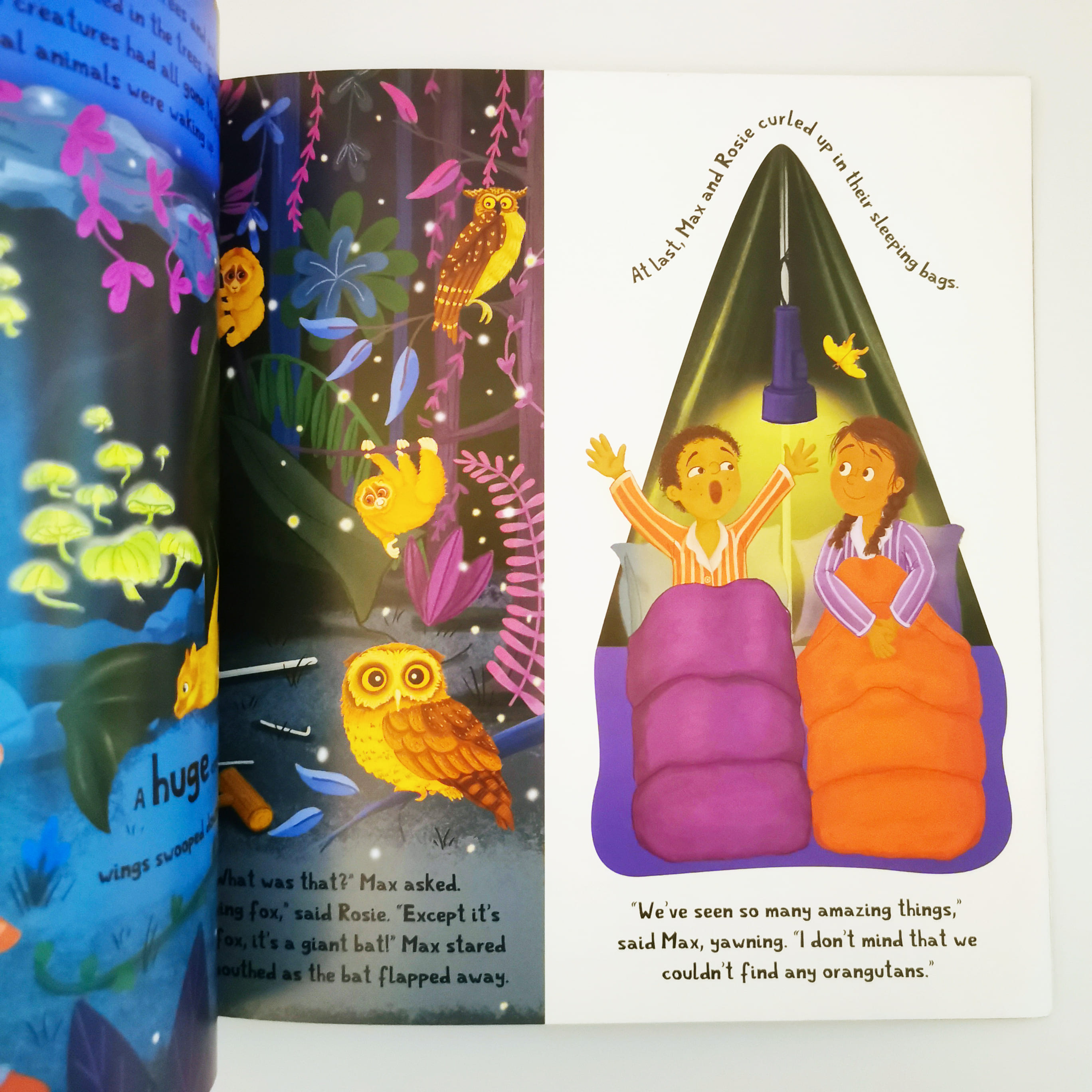 Rainforest Explorers