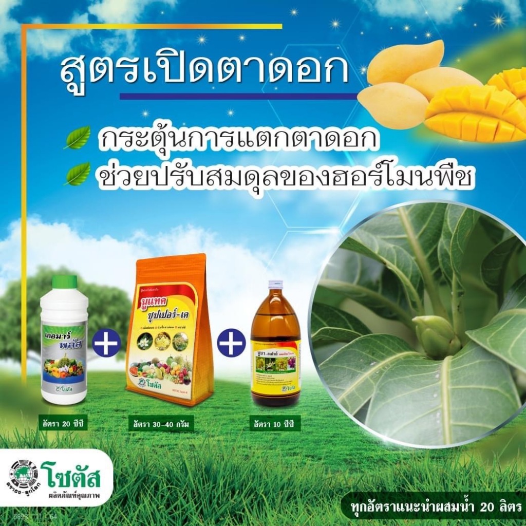 ชุดสูตรเปิดตาดอก กระตุ้นการเปิดตาดอก ปรับสมดุลฮอร์โมนพืช เกอมาร์พลัส +นูแทค ซุปเปอร์-เค+นูบา-สเปรย์ แคลเซียมโบรอน